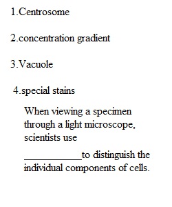 Quiz 3